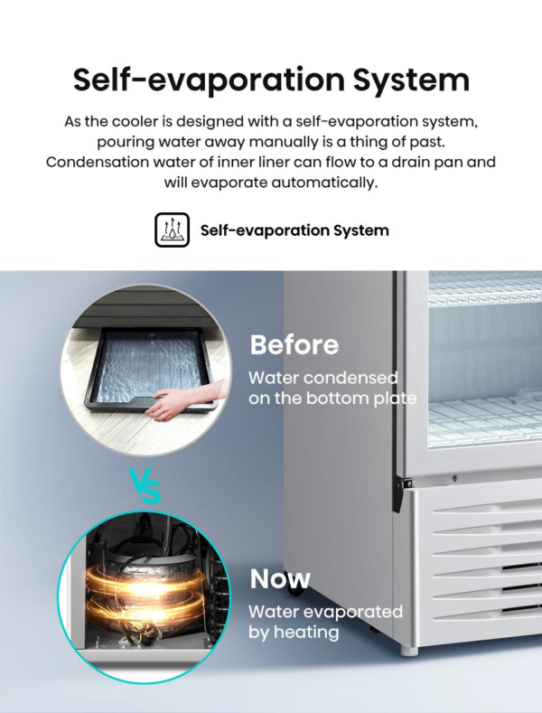 HISENSE SHOWCASE CHILLER (EXHSC-320FLG) 320L - Image 6
