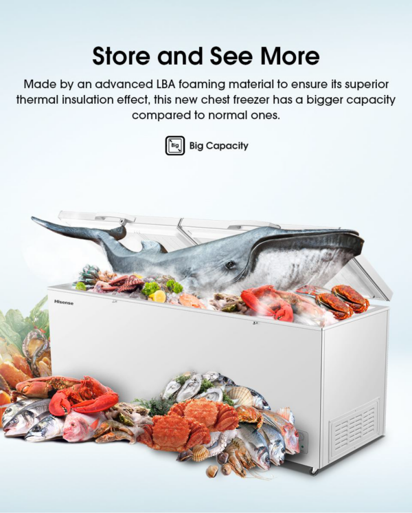 HISENSE CHEST FREEZER (FC900D4BWBP) 780L - Image 3