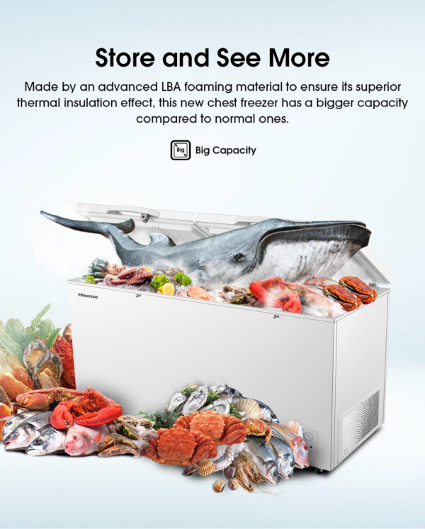 HISENSE CHEST FREEER (FC650D4BWB) 530L - Image 3
